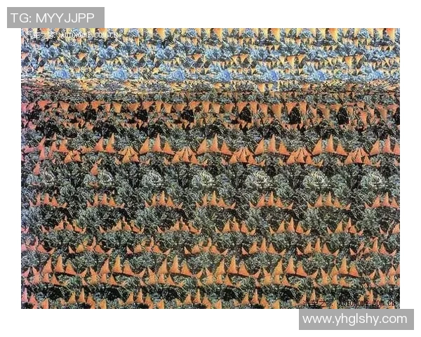 足球明星照片猜谜游戏挑战你的眼力和足球知识