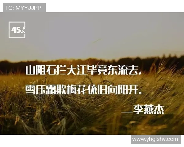 足球明星的传奇人生与奋斗精神在书中的启示与反思